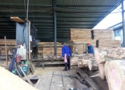 木材加工現場